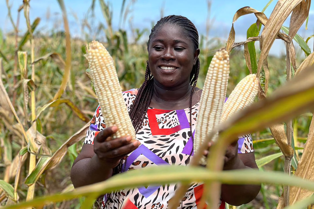 Nigerian woman shows corn she grew with help from EFI. 