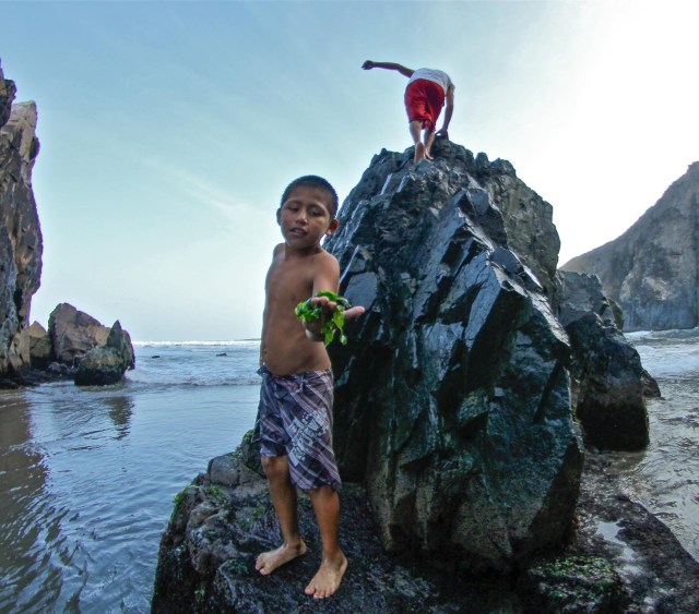 cover-image