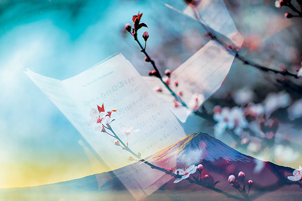 cover-image
