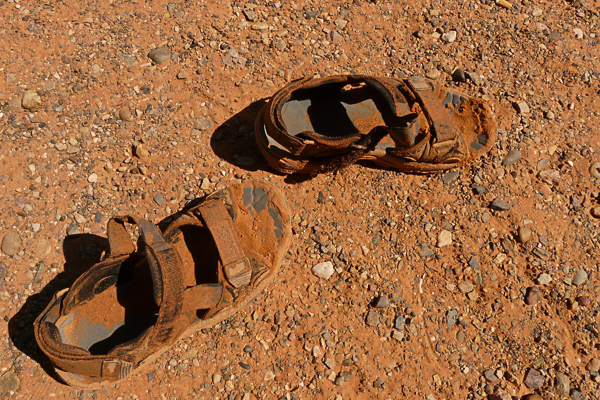 cover-image