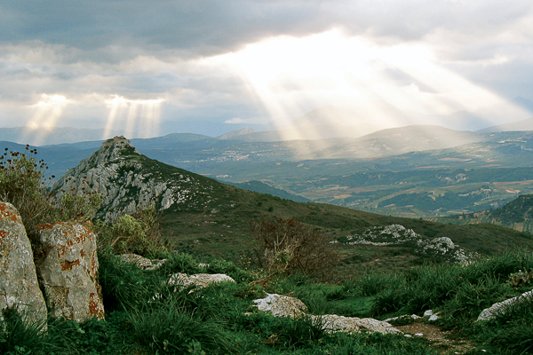cover-image