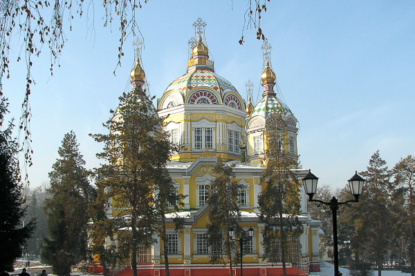 cover-image