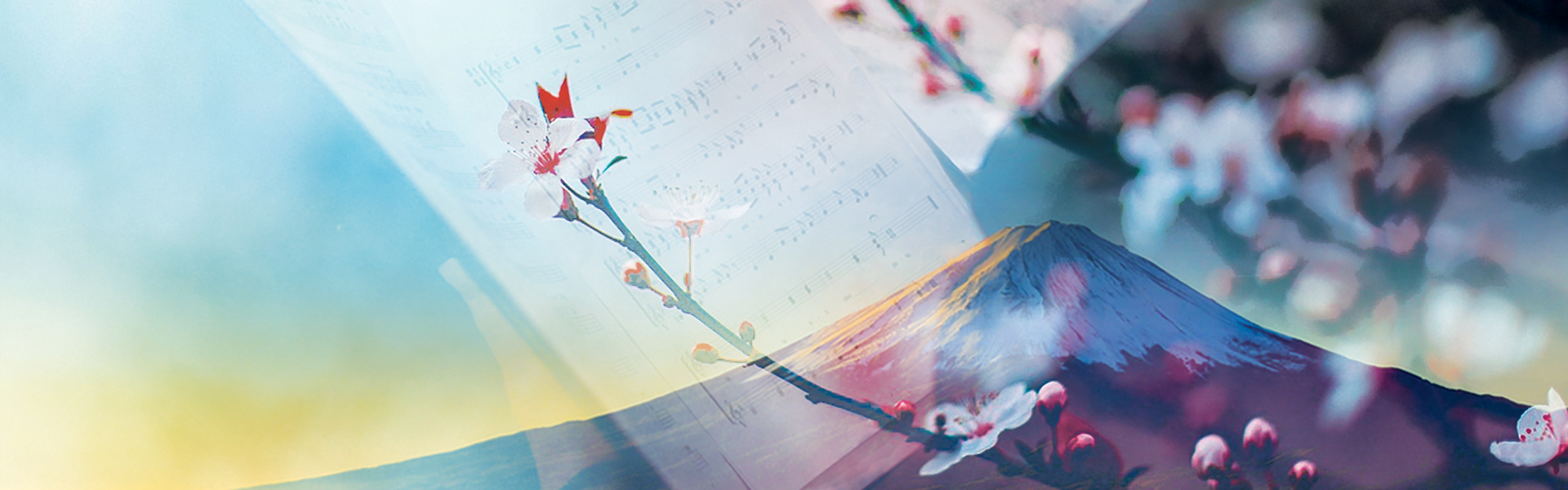 cover-image