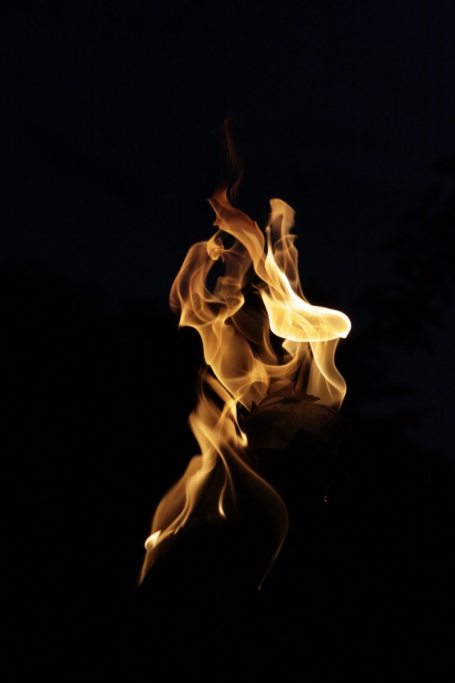 cover-image